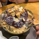제주도민이 한달에 3번 방문한 한라대 근처 제주 노형동 요거트, 팥빙수 맛집 떼르떼 (+우유얼음 필수)