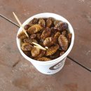 청와대세트장화장실 이미지