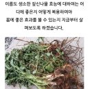 선학초등학교 이미지