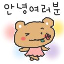 강경손세차