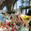 주정차046 이미지