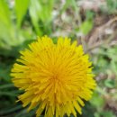 가나빌딩 이미지