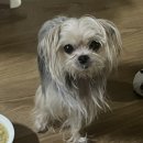 윤슬안과의원 | 2024 안녕