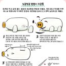 꿀꿀이 이미지