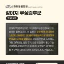 스마트동물병원군자점