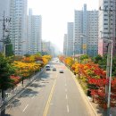 명진초등학교 이미지