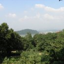 약사사약수터 이미지