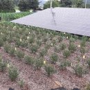 용토농장 이미지