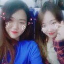 아리술
