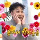 스윗하나