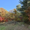 유용근 | 온비드 공매 첫 낙찰 후기