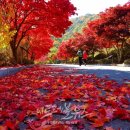 대둔산도립공원 이미지