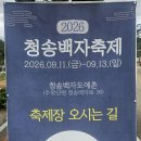 청송 백자 축제 관람 이미지