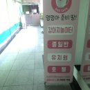 멍멍아 준비땅 이미지