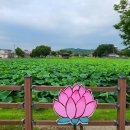 두리 한우 농장 이미지