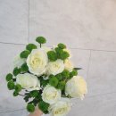 congratulation 이미지