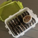 우서목김밥 | 우서목 김밥 6줄 종류별 후기 + 냉동김밥 김밥전