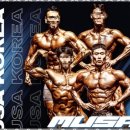 플렉스피티 이미지