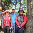 용산-190 이미지