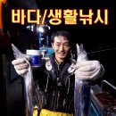 3.  8조구 이미지