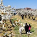 과일나라 앞 이미지