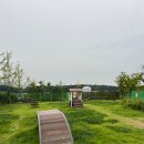 강아지놀이터 이미지