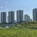 서울스타병원 이미지