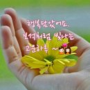 이소부국장님 ~~♡ 이미지