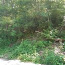 의성골프랜드 이미지