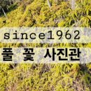 풀꽃스튜디오사진관