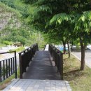 청량산 캠핑장 이미지