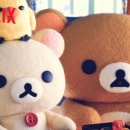 키티 - 창원시 마산합포구 해안대로 15 | 키티