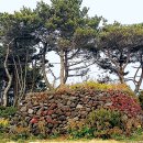 남원읍-1 이미지