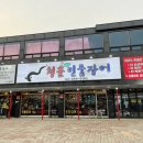청춘민물장어 이미지