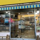 엔젤펫애견샵 이미지