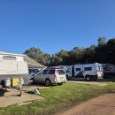 미송농장 이미지