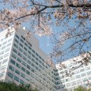 세종대학교 산업경영대학원 이미지