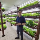 삼아농장 이미지