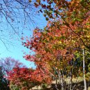 진상초등학교 이미지