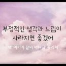 IAM캣 네이버블로그
