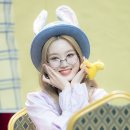 비채원