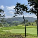 오너스GC 네이버블로그