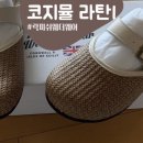 코지Ⅰ 이미지