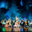 비바츠LED 태권발레 이미지