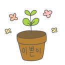 호야과일 - 중구 반구정4길 73 | 호야과일