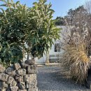 농부의 아침 | 제주도 숙소 | 농부의믿는구석 작은동, 조식 후기, 제주도 조천읍 독채 감성숙소 추천