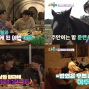 요술램프 스포츠경향