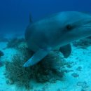 중계약국 이미지