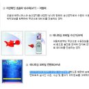 휴대폰거리 이미지