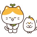 점태네닭발 이미지